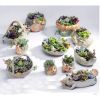 Outdoor Indoor Decor Ceramic Flower Container Pots Mini Planters-A12
