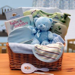 Organic New Baby Basics Gift Baskets - Blue