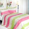 [Colorful Life] Cotton 2PC Vermicelli-Quilted Patchwork Quilt Set (Twin Size)
