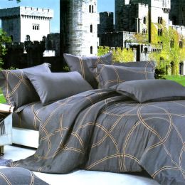 Blancho Bedding - [Reminiscent Mood] Luxury 4PC Comforter Set Combo 300GSM (Twin Size)